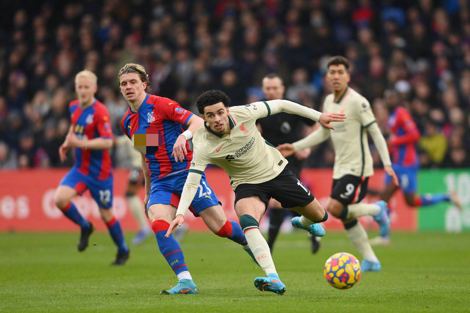 迷们的广泛 迷们的广泛